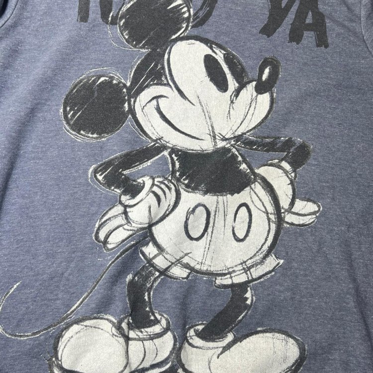 Disney Hoodie
