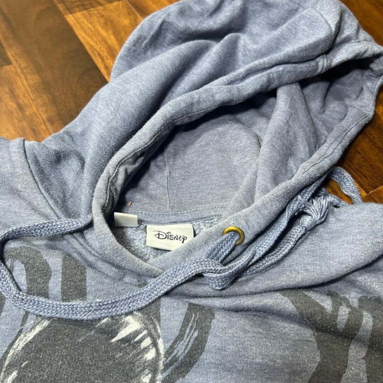 Disney Hoodie