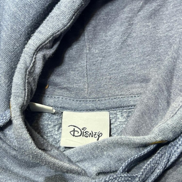 Disney Hoodie